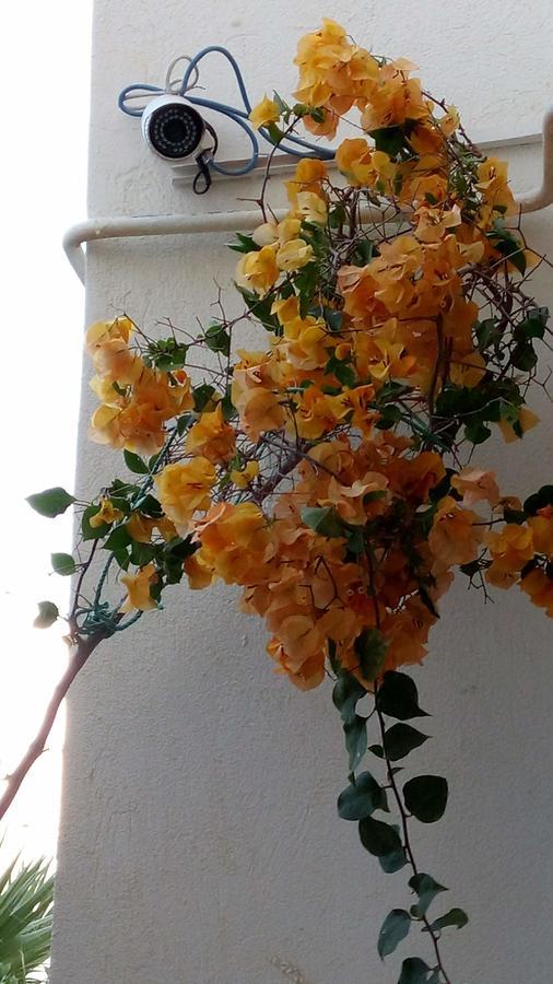 Happy House Ennasr Apartment Ariana Ngoại thất bức ảnh